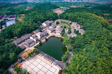 房間可以養鬥魚嗎|【鬥魚飼養】養鬥魚風水禁忌、水質要求、水草。